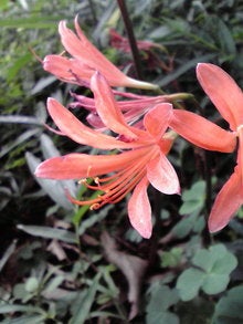 2008082011570000.jpg