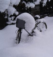 自転車