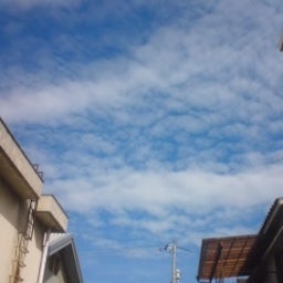 画像 おはあ⌒ の記事より