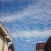 おはあ⌒の画像