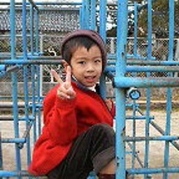ハチの日記-200812271342000.jpg