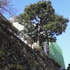 風邪？が 治りました。の画像