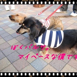 画像 ２００８年　遠足♪　土岐プレミアムアウトレット！！ の記事より 17つ目