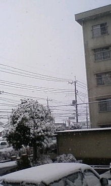 080203_0809~01.JPG