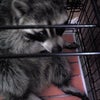 やっとこさの更新でっす♪の画像