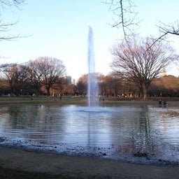 tec ★ rock steady-代々木公園