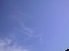 CA390291.JPG
