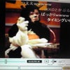 DoCoMoのF503iの画像