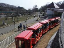 汽車①