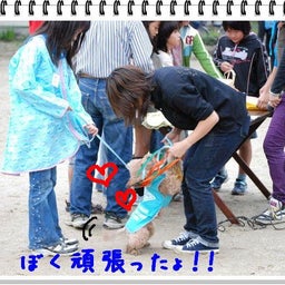   画像 【わんわん運動会ｉｎ２００８！！】Part４ の記事より 12つ目