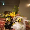 まぁ暇なので、出会いの話でも。の画像