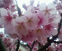 ～バリエステＥｎａｋ～-200902151352000.jpg