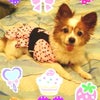 かわいい(o・v・o)♪の画像