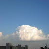 お昼の画像