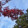 寒かったの画像