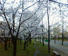200704041741001.jpg
