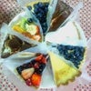 2008/12/28の画像