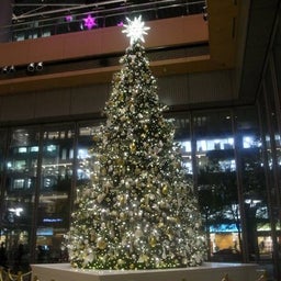 画像 + クリスマスツリー + の記事より