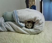 。。。。
