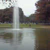 代々木公園。の画像