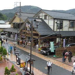 画像 小田急ハイキング『箱根』を歩く の記事より 15つ目