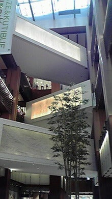 2008080912360000.jpg