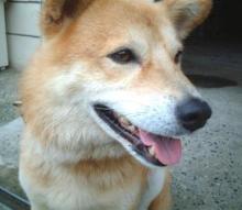 ラッキー