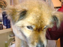 20080516065347.jpg