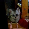 泣くタイミングを考えないとの画像