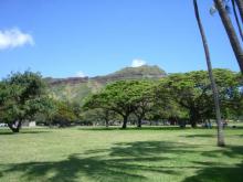 公園から