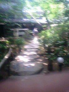 080809_1300~0001.jpg