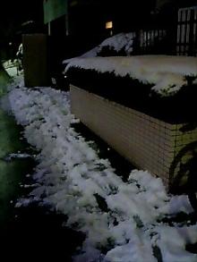 060122_1852~0001.jpg