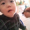 昼寝なしの画像