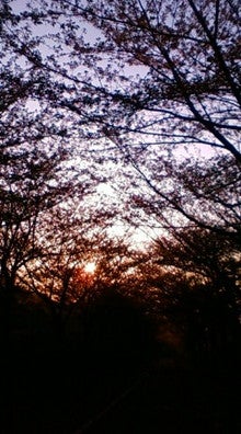 20080415053643.jpg