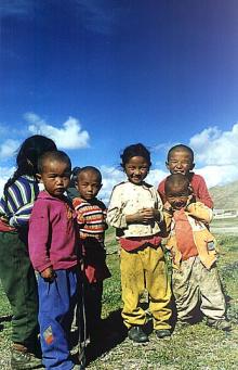 tibet19