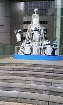ﾟ+･ＲｙＯ'ｓ*ＢＬＯＧ.゜-081209_1306~01.JPG