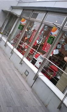 ﾟ+･ＲｙＯ'ｓ*ＢＬＯＧ.゜-081209_1304~01.JPG