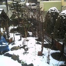 札幌は今日も雪だったの記事より