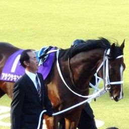 2008天皇賞秋_アサクサキングス