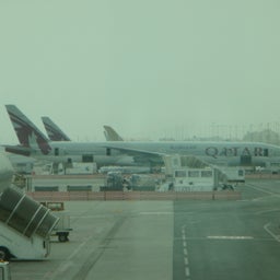 2008_1103_doha.jpg