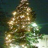 2008/11/25の画像