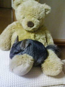 rureroさんのﾌﾞﾛｸﾞ-20090116221136.jpg