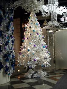 渋谷「Ｐ＆Ａ」前のクリスマスツリー