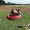 ８０２０運動の画像
