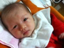 mayu
