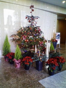 Kuro`s　room-20081215132056.jpg