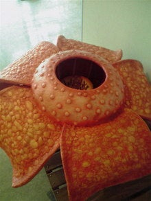 2008082713500000.jpg