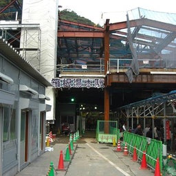 画像 小田急ハイキング『箱根』を歩く の記事より 2つ目