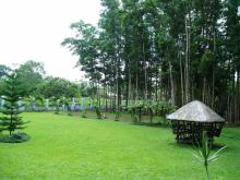 niwa