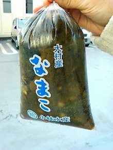 白檀の庭-200812301545000.jpg